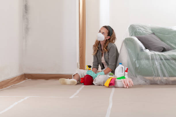 Reliable Commercial Mold Remediation contractor in Hollywood, MD by WQB Mold Removal